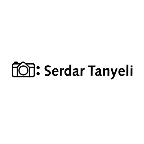 Serdar Tanyeli